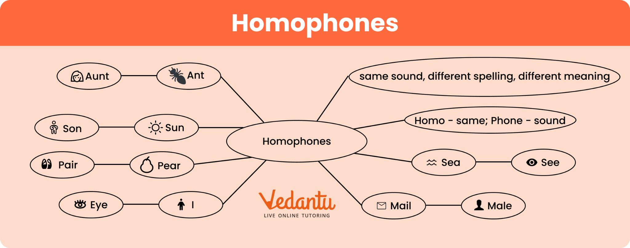 explanation of Homophones