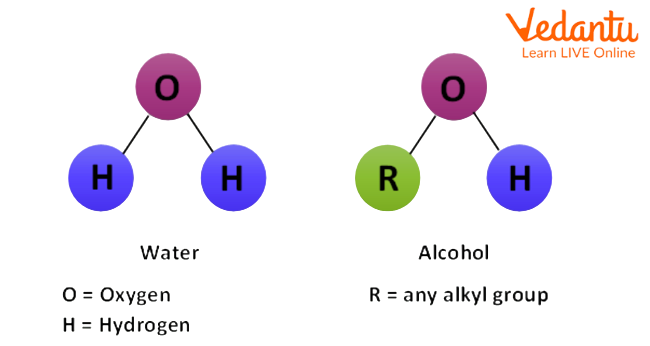 Molecular Structure of Water and Alcohol