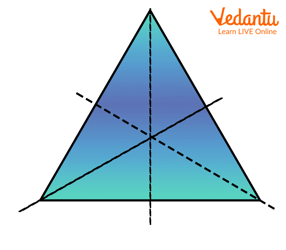 lines of symmetry.