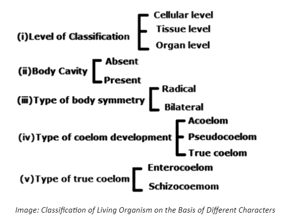 classification of living organism on the Basis of Different Characters