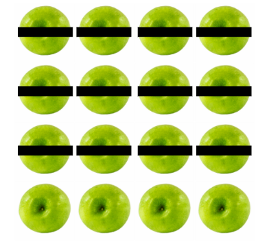 Shading 12 apples out of 16 apples