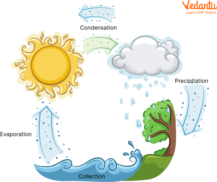 Tal post-field trip water cycle drawing (5 months). | Download Scientific  Diagram