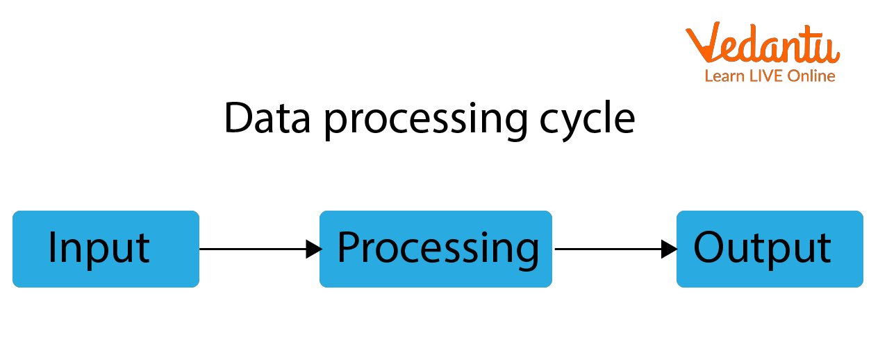 Data Processing Cycle