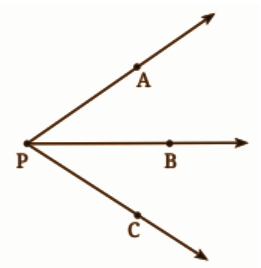 Draw and label an angle with arms ST and SR.