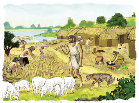 Agriculture in Early days