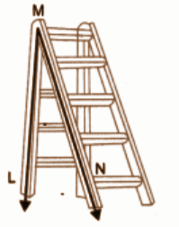 ladder image