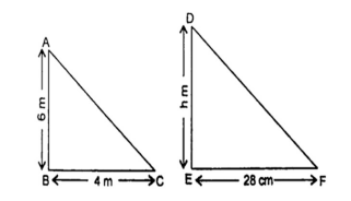 the height of the tower