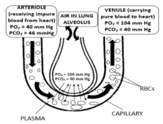 Air bracket