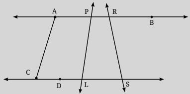 measure the angles