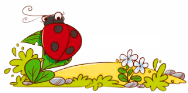 Have you seen a ladybug