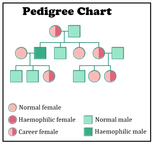 pedigree analysis