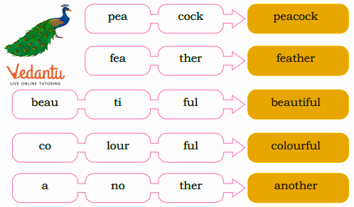 Students' activity to be performed in class