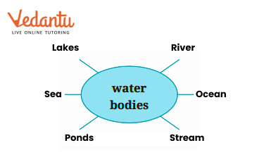 list water bodies answer.