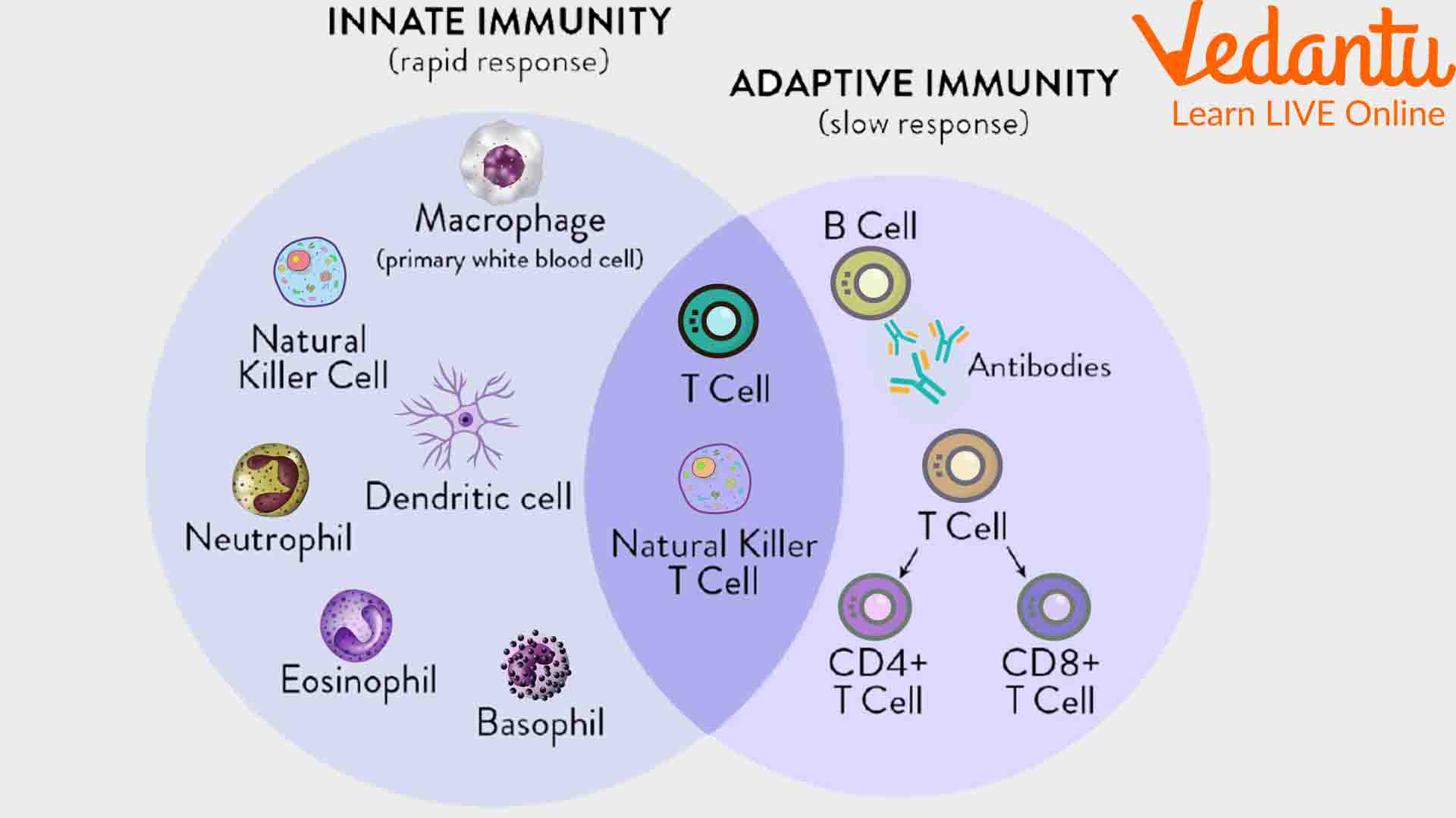 difference between innate and acquired immunity with example