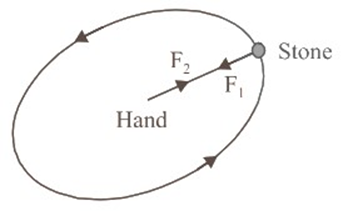 centripetal and centrifugal forces