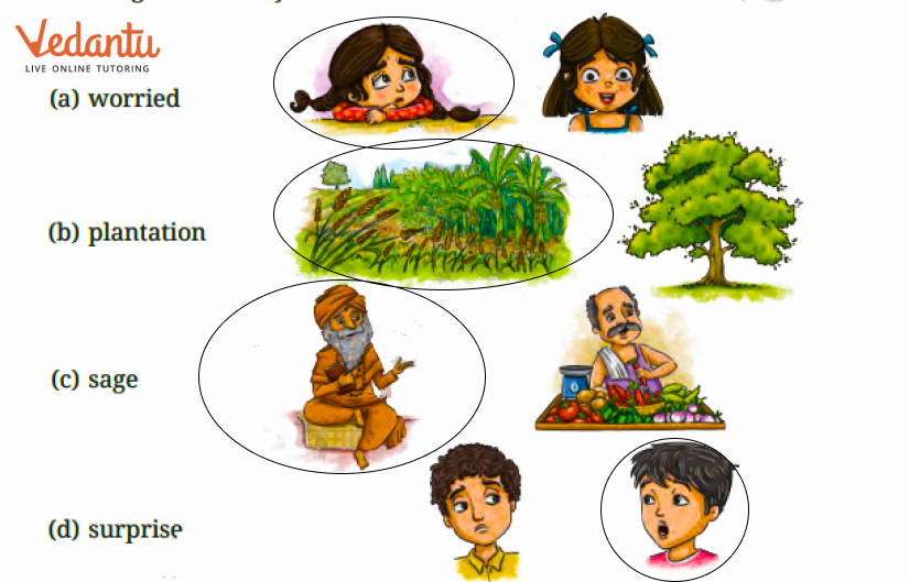 Circle the picture that matches with word Solution