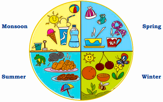 The differences between summer, winter, spring, and monsoon seasons