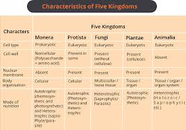 Characteristics of 5 kingdoms