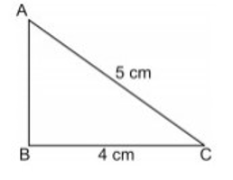 the area of the adjoin figure