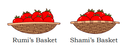 Vegetable basket