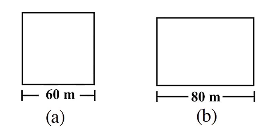 Figures of a Rectangle and a Square Field