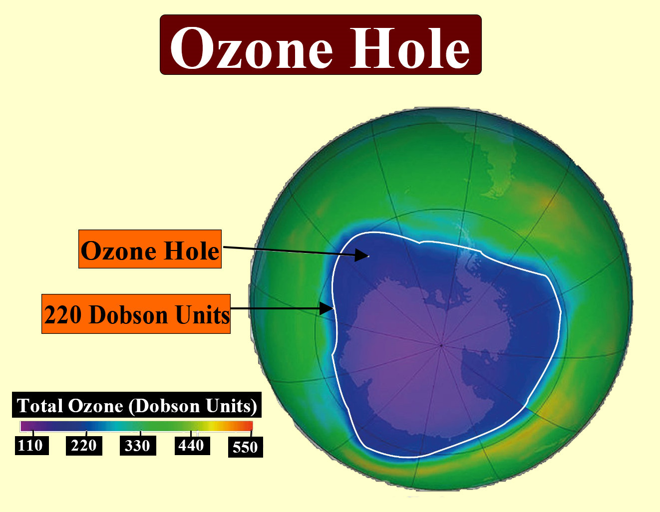 effects of ozone layer depletion