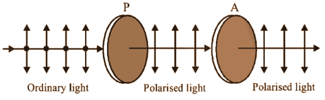 polarised light