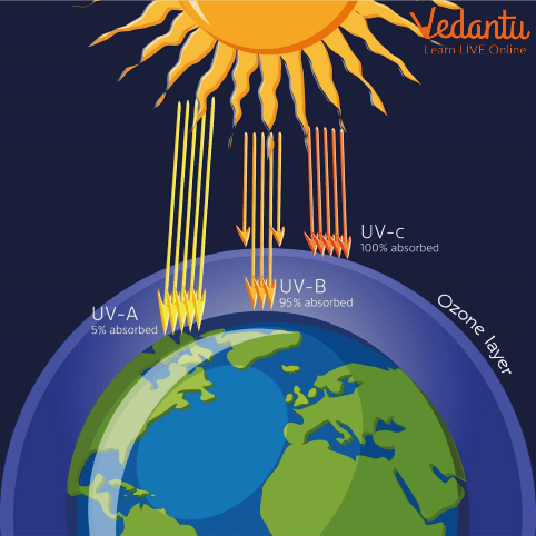 ozone layer depletion diagram