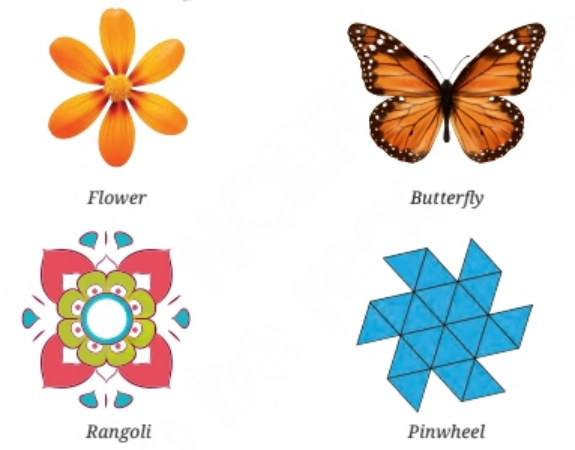 line of symmetry in 4 things