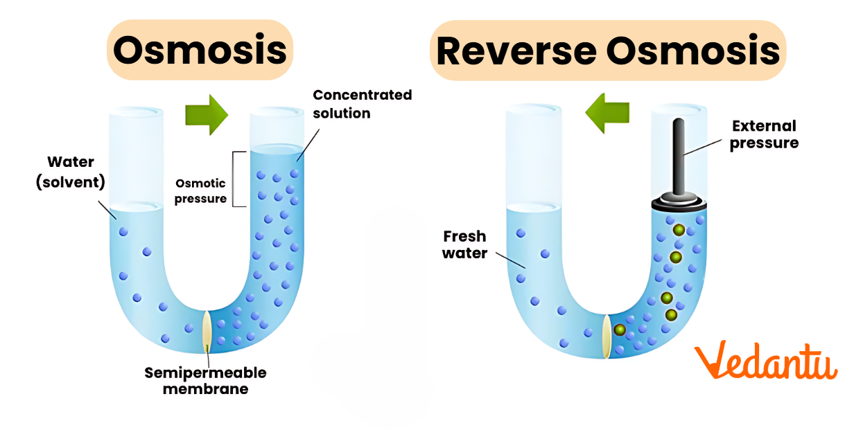 osmosis diagram