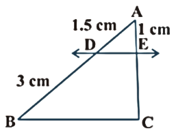 basic proportionality theorem