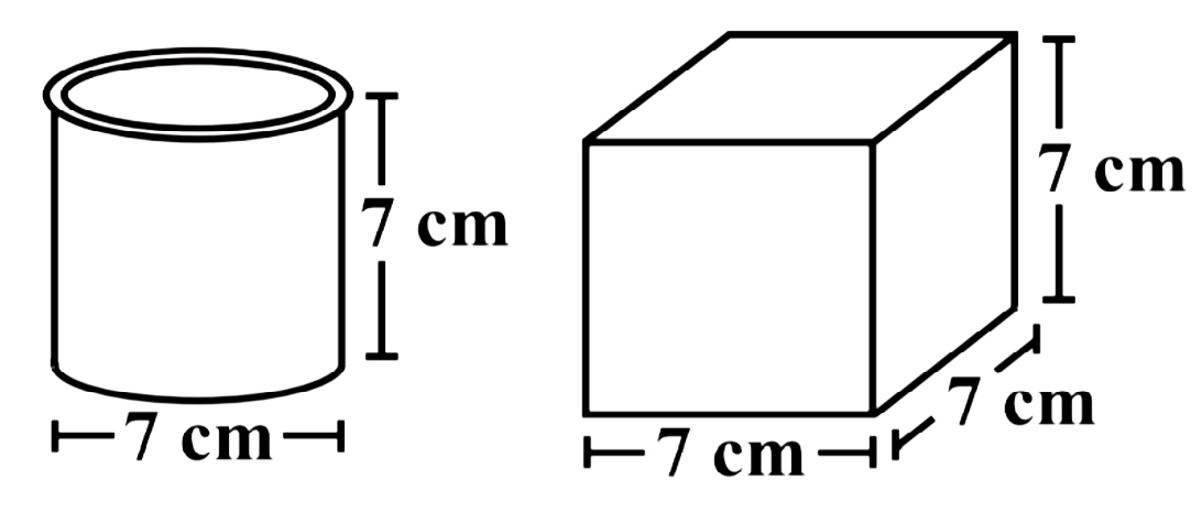 (i) Cylinder (ii) Shape of Cube