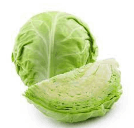 cabbage picture