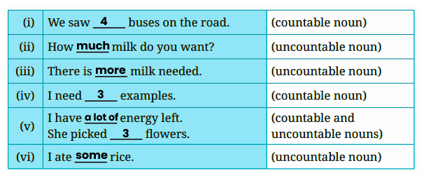 fill in the blanks with quantifiable nouns answer