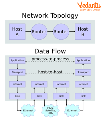 Network Topology