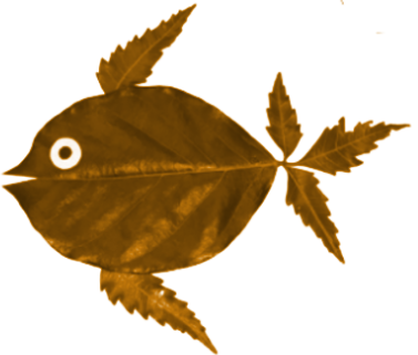 This picture with dried leaves looks like a fish