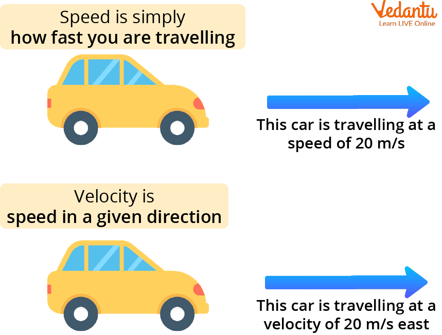 Speed and Velocity