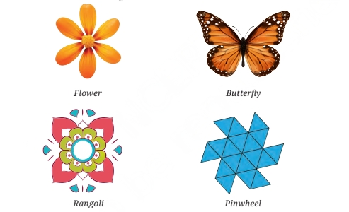 symmetry in various figures.