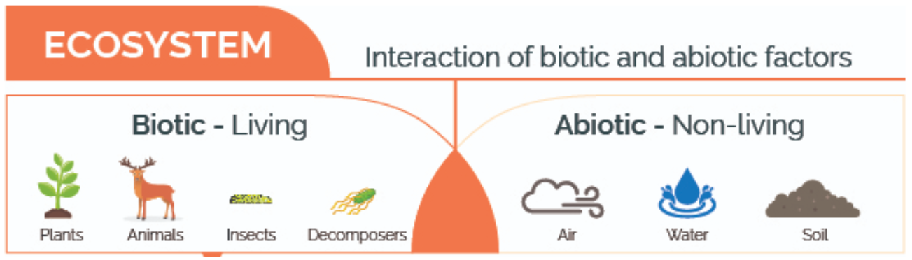 types of environment - biotic and abiotic