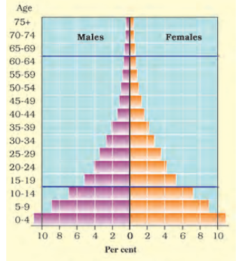 population pyramids of Kenya