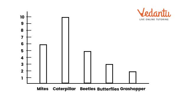 a bar graph