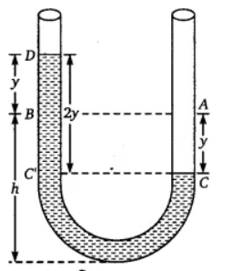U - Simple harmonic motion of mercury in the tube