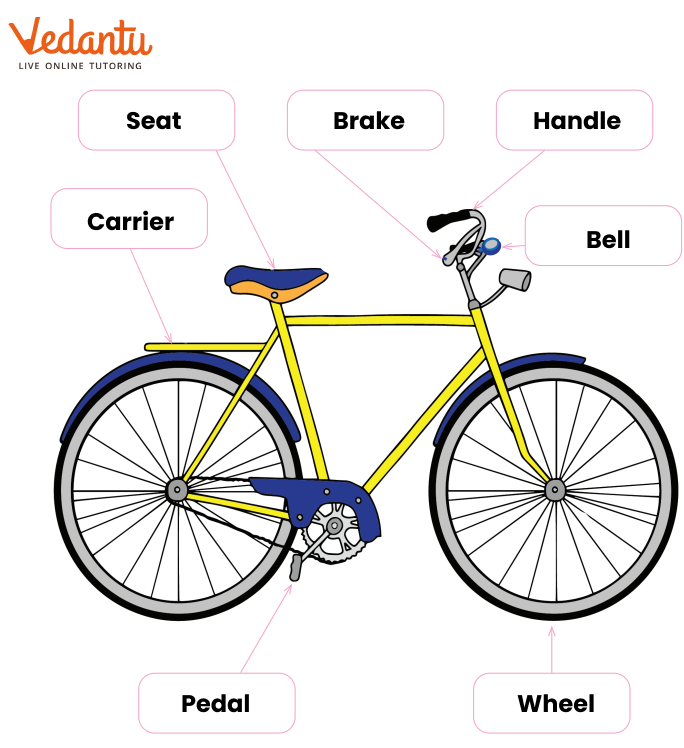 Naming the parts of bicycle