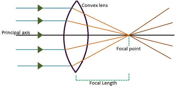 Convex Lens Uses Types Magnification And Function Of Convex Lens