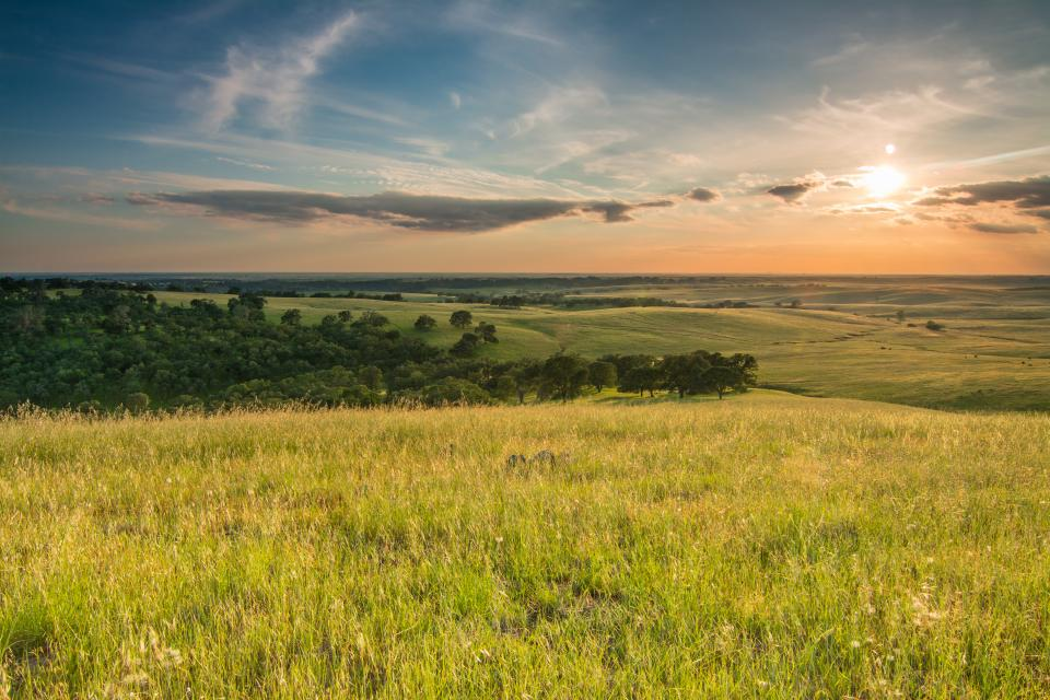 Temperate Grasslands African Grasslands