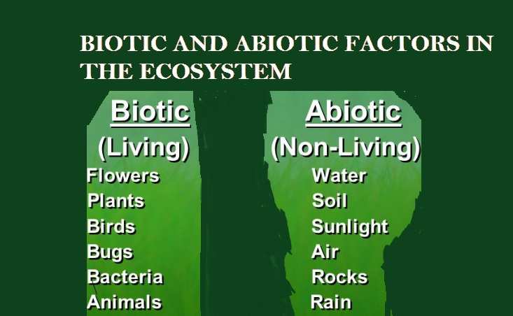 biotic-and-abiotic-difference-between-abiotic-and-biotic-factors