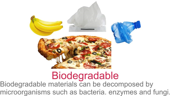 Biodegradable And Non Biodegradable Difference Between Biodegradable 