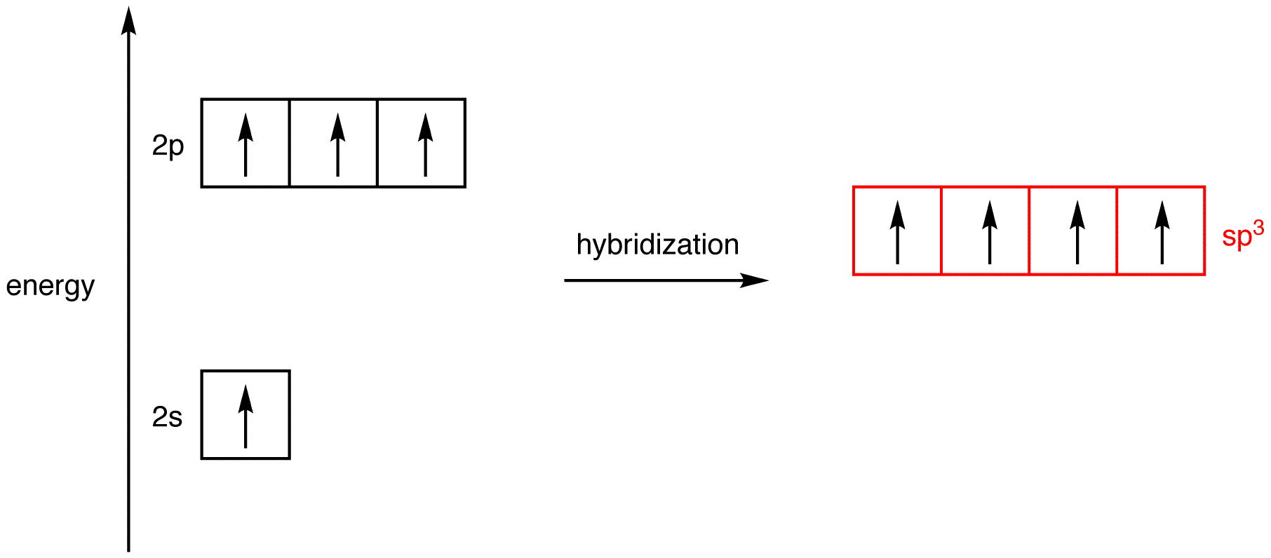 Hybridization | Types and Examples of Hybridization
